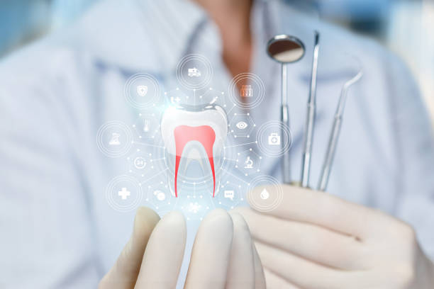 Best Cosmetic Dentistry  in Wallace, ID
